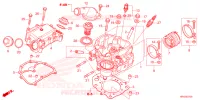 CULASSE pour Honda FOURTRAX 520 FOREMAN 4X4 EPS de 2023