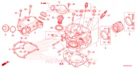 CULASSE pour Honda FOURTRAX 520 FOREMAN 4X4 EPS de 2023