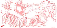RADIATEUR pour Honda FOURTRAX 520 FOREMAN RUBICON 4X4 EPS de 2024