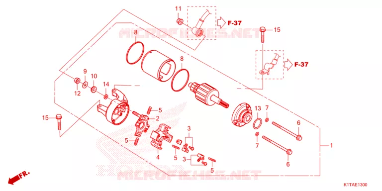 DEMARREUR Honda MOTO 300 CRF 2024  CRF300LRP