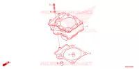 CYLINDRE pour Honda CRF 250 R de 2024