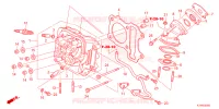 CULASSE pour Honda NAVI 110 de 2023