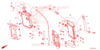 RADIATEUR pour Honda CRF 250 R de 2024