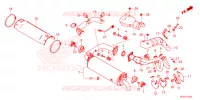 SILENCIEUX D'ECHAPPEMENT pour Honda TALON 1000 XS de 2023