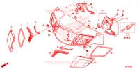 CLIGNOTANT AVANT pour Honda DREAM 125 de 2020