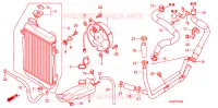 RADIATEUR pour Honda SH 300 de 2007