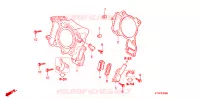 CYLINDRE pour Honda SH 300 ABS de 2008