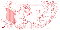 RADIATEUR pour Honda SH 300 ABS de 2008
