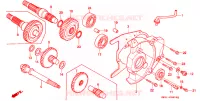 BOITE DE VITESSES pour Honda LEAD 50 BLUE de 1993