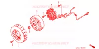 ALTERNATEUR pour Honda TACT 50 STAND UP de 1999