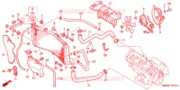 RADIATEUR pour Honda CBR 600 F4 de 1999