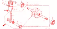 VILEBREQUIN   PISTON pour Honda 50 DIO de 1988