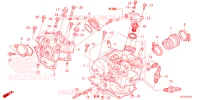 CULASSE pour Honda PIONEER 700 M4 DELUXE de 2023