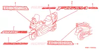AUTOCOLLANTS pour Honda FORZA 250 ABS S TOP BOX de 2001
