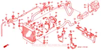 RADIATEUR pour Honda FORZA 250 ABS S TOP BOX de 2001