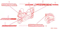 AUTOCOLLANTS pour Honda FORZA 250 S ABS IDLE STOP de 2000