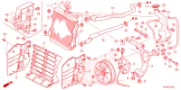 RADIATEUR pour Honda FOURTRAX 520 FOREMAN RUBICON 4X4 AT DCT EPS DELUXE de 2024