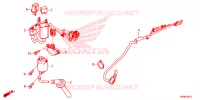 FAISCEAU SECONDAIRE pour Honda CB 150 R ABS de 2024