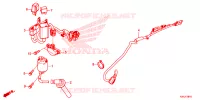 FAISCEAU SECONDAIRE pour Honda CB 150 R de 2024