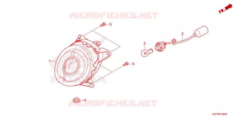 FEU ARRIERE Honda SCOOTER 110 SCOOPY 2021  ACF110CBTM