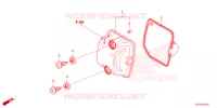 CAPOT pour Honda SCOOPY 110 URBAN TEAM de 2022