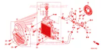 RADIATEUR pour Honda CLICK 125 I Idling Stop Casted Wheels de 2020