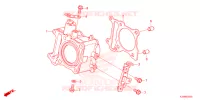 CYLINDRE pour Honda GIORNO 125 ABS de 2024