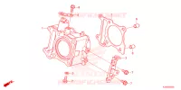 CYLINDRE pour Honda GIORNO 125 ABS de 2024