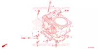 CYLINDRE pour Honda PIONEER 700 M2 FOREST de 2025