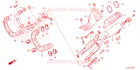 SILENCIEUX D'ECHAPPEMENT pour Honda PIONEER 700 M2 FOREST de 2025