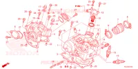 CULASSE pour Honda PIONEER 700 M4 FOREST de 2025