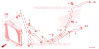 WATER PIPE/WATER HOSE pour Honda PIONEER 700 M4 de 2025