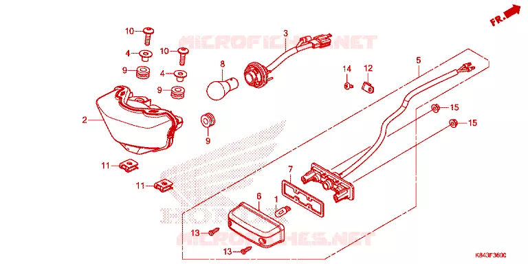 FEU ARRIERE Honda MOTO 150 CRF 2021  CRF150LL