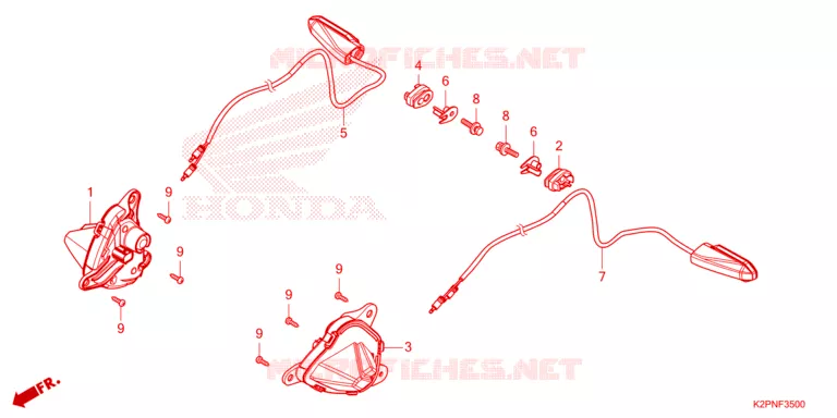 CLIGNOTANT Honda MOTO 150 WINNER 2022  FS150FAN