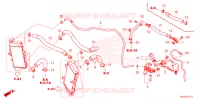 RADIATOR HOSE/WATER PIPE pour Honda AFRICA TWIN 1100 de 2025