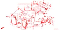 RADIATOR HOSE/WATER PIPE pour Honda AFRICA TWIN 1000 ADVENTURE de 2019