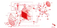 RADIATEUR pour Honda AIRBLADE 125 de 2014