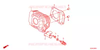 CYLINDRE pour Honda 50 CROSS CUB de 2025