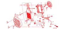RADIATEUR pour Honda GIORNO 50 KUMAMON de 2025