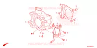 CYLINDRE pour Honda ADV 150 ABS de 2024