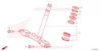 TE DE FOURCHE pour Honda CB 300 TWISTER CBS de 2023