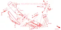 SILENCIEUX D'ECHAPPEMENT pour Honda CB 500 HORNET de 2025