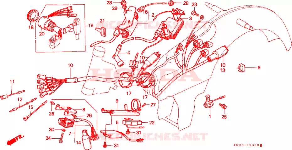 FAISCEAU DES FILS(1) Honda MOTO 110 CT 1982  CT110C