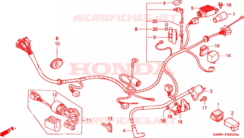 FAISCEAU DES FILS Honda MOTO 70 DAX 1994  ST70R