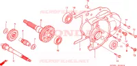 BOITE DE VITESSES pour Honda VISION MET IN 75 de 1989