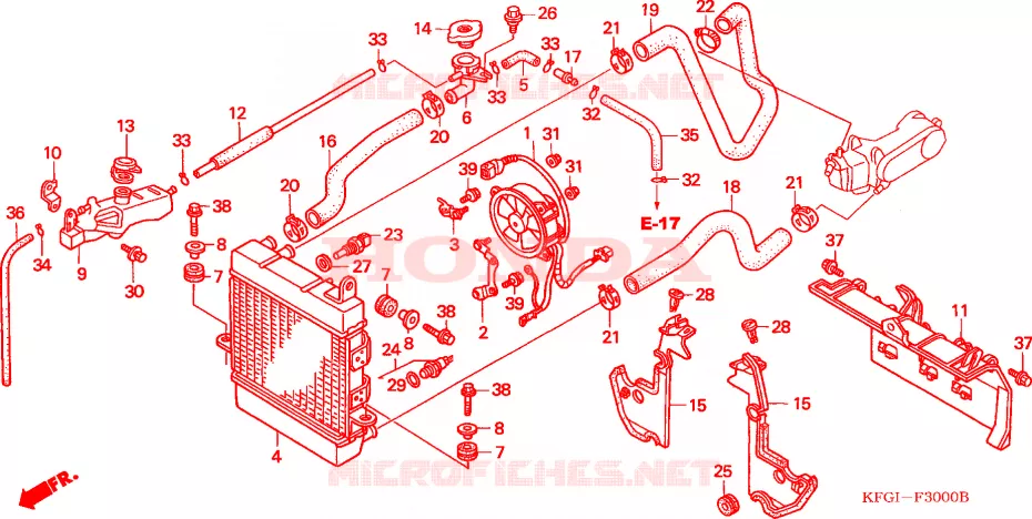 RADIATEUR Honda SCOOTER 250 FORSIGHT 2000  FES250Y