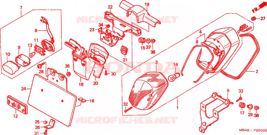 FEU ARRIERE(1) Honda MOTO 750 SHADOW 2000  VT750CY
