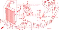 RADIATEUR pour Honda SH 300 SPC de 2008