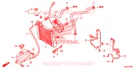 RADIATEUR pour Honda S WING 125 de 2012