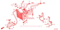 RADIATEUR pour Honda S WING 125 de 2012